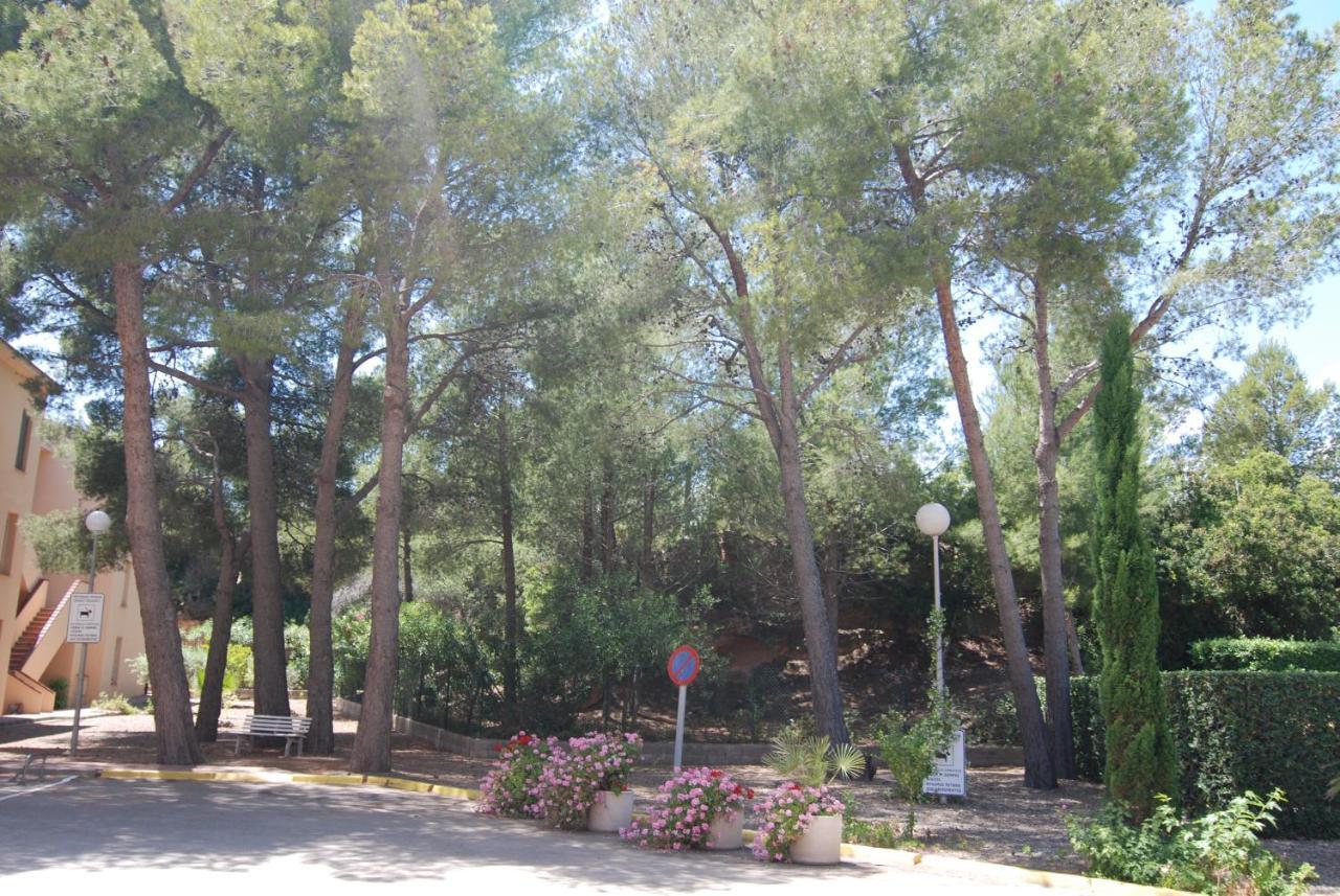 Apartment Guardamar Playa
